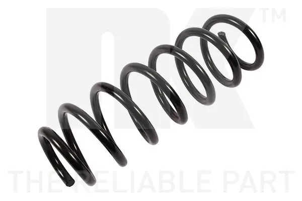 Fahrwerksfeder Hinterachse NK 541564