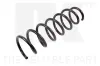 Fahrwerksfeder Hinterachse NK 541571