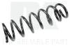 Fahrwerksfeder Vorderachse NK 541582