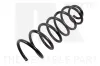Fahrwerksfeder Hinterachse NK 541940