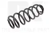 Fahrwerksfeder Hinterachse NK 542567