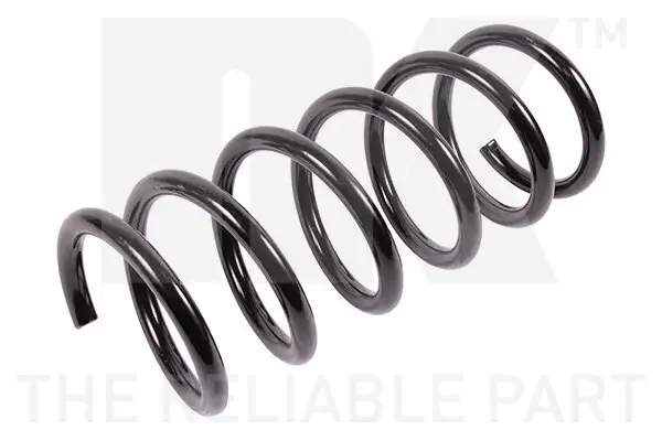 Fahrwerksfeder Hinterachse NK 542580