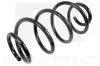 Fahrwerksfeder Hinterachse NK 543384