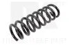 Fahrwerksfeder Hinterachse NK 543392