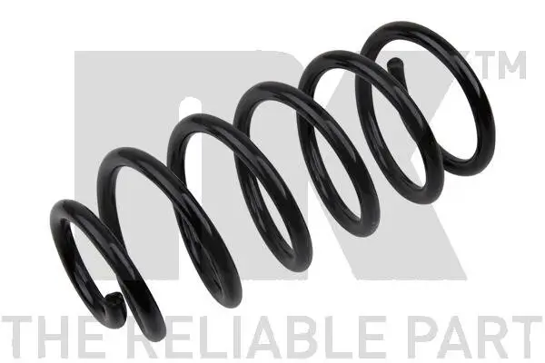 Fahrwerksfeder Hinterachse NK 543513