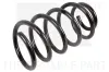 Fahrwerksfeder Hinterachse links Hinterachse rechts NK 543697