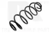 Fahrwerksfeder Hinterachse NK 543725