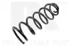 Fahrwerksfeder Hinterachse NK 543726