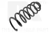 Fahrwerksfeder Hinterachse NK 543728