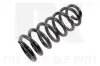 Fahrwerksfeder Hinterachse NK 543730