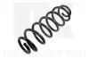 Fahrwerksfeder Hinterachse NK 543731