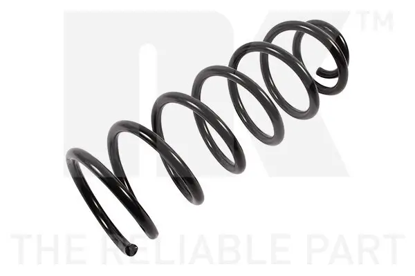 Fahrwerksfeder Hinterachse NK 543732