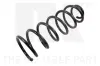 Fahrwerksfeder Hinterachse NK 543732