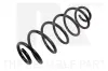 Fahrwerksfeder Hinterachse NK 543736
