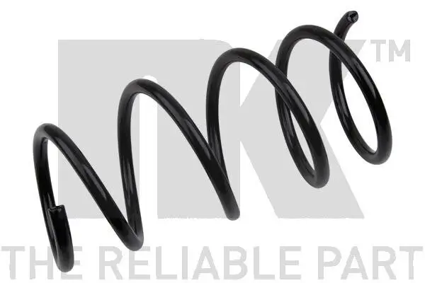 Fahrwerksfeder Hinterachse NK 543905