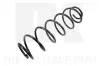 Fahrwerksfeder Hinterachse NK 543943