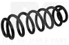 Fahrwerksfeder Hinterachse NK 544317