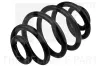 Fahrwerksfeder Hinterachse links Hinterachse rechts NK 544715