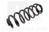 Fahrwerksfeder Hinterachse NK 5447207