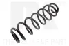 Fahrwerksfeder Hinterachse NK 5447230