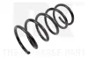 Fahrwerksfeder Hinterachse NK 544826