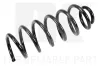 Fahrwerksfeder Hinterachse NK 549901