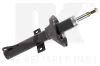 Sto&szlig;d&auml;mpfer Vorderachse NK 62253853