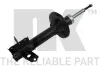 Stoßdämpfer Hinterachse links NK 623231251
