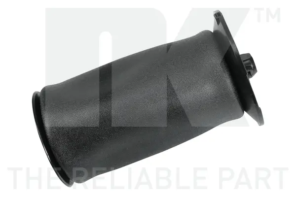 Luftfeder, Fahrwerk Hinterachse links rechts NK 98215006