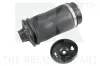 Luftfeder, Fahrwerk Hinterachse links rechts NK 98233001