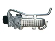 AGR-Modul BE TURBO 304002