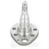 Radnabe Hinterachse links OPTIMAL 04-P006 Bild Radnabe Hinterachse links OPTIMAL 04-P006