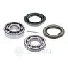 Radlagersatz Hinterachse OPTIMAL 972639 Bild Radlagersatz Hinterachse OPTIMAL 972639