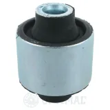 Lagerung, Achsstrebe Hinterachse außen hinten beidseitig OPTIMAL F8-5321