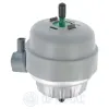 Lagerung, Motor Vorderachse OPTIMAL F8-7970 Bild Lagerung, Motor Vorderachse OPTIMAL F8-7970
