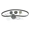 Wasserpumpe + Zahnriemensatz OPTIMAL SK-1113AQ2 Bild Wasserpumpe + Zahnriemensatz OPTIMAL SK-1113AQ2