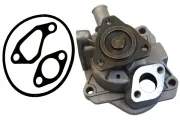Wasserpumpe, Motorkühlung MAPCO 21807
