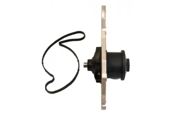 Wasserpumpe, Motorkühlung MAPCO 21981 Bild Wasserpumpe, Motorkühlung MAPCO 21981