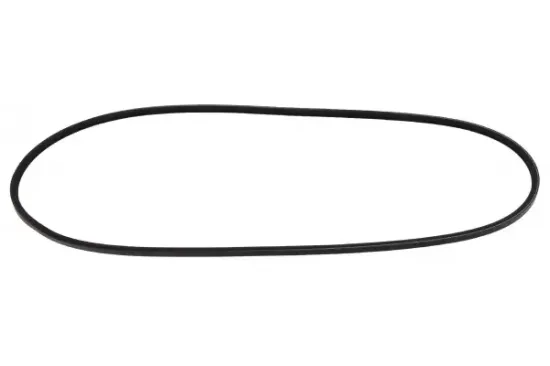 Keilrippenriemen MAPCO 220800 Bild Keilrippenriemen MAPCO 220800