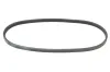 Keilrippenriemen MAPCO 230670