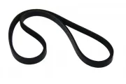 Keilrippenriemen MAPCO 230700