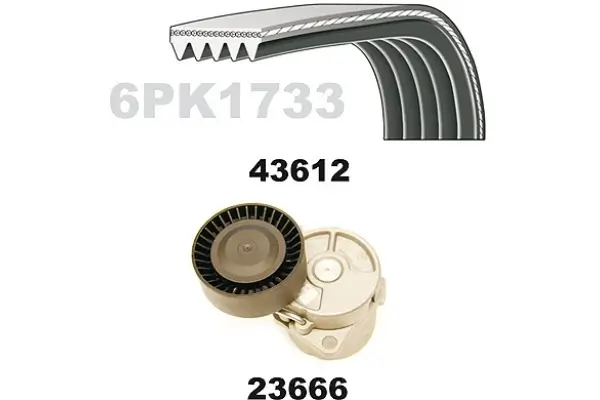 Keilrippenriemensatz MAPCO 23612