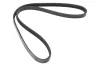 Keilrippenriemen MAPCO 241000