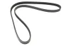 Keilrippenriemen MAPCO 241068