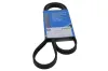 Keilrippenriemen MAPCO 241170