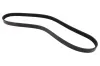 Keilrippenriemen MAPCO 250950