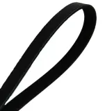 Keilrippenriemen MAPCO 251065