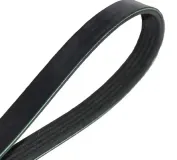 Keilrippenriemen MAPCO 251180