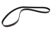 Keilrippenriemen MAPCO 251210