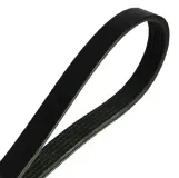 Keilrippenriemen MAPCO 251236E